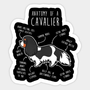 Tri-Color Cavalier King Charles Spaniel Dog Anatomy Sticker